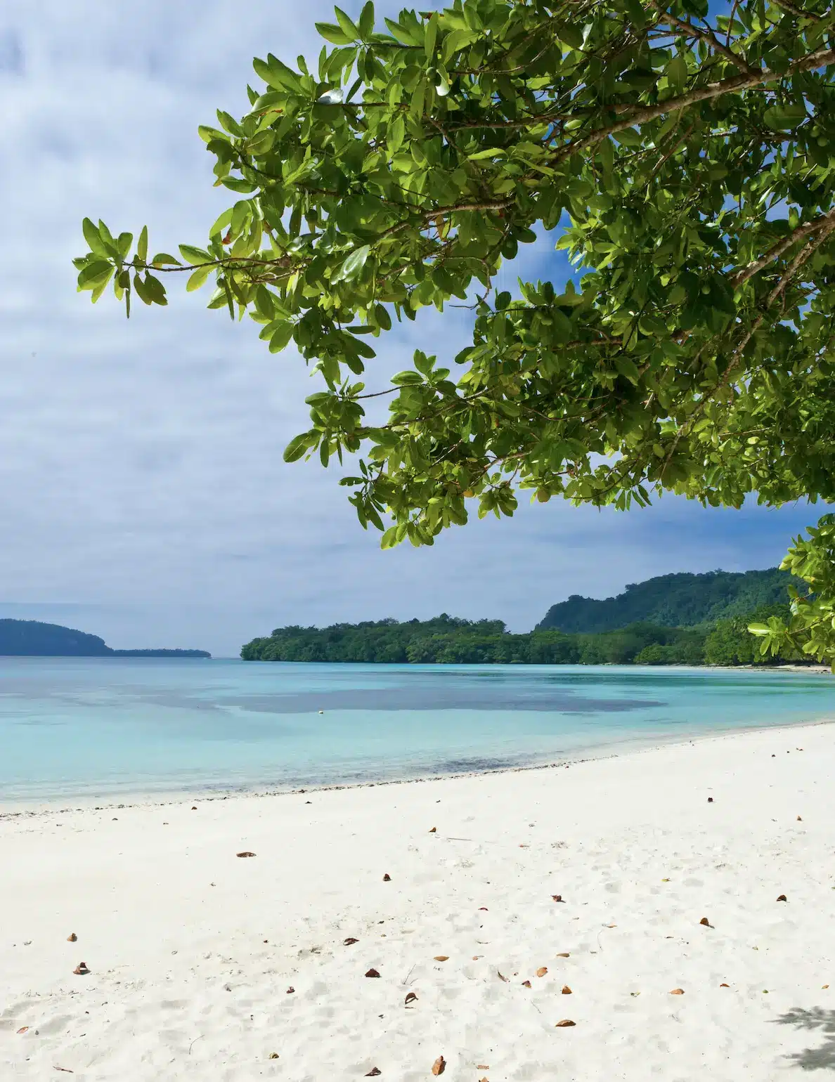 A perfect beach in Vanuatu.